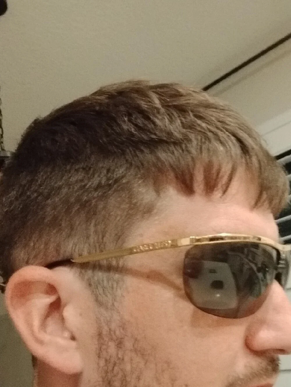Gargoyles sleek men